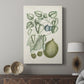 Buchoz Tropicals VIII - Canvas Art Print
