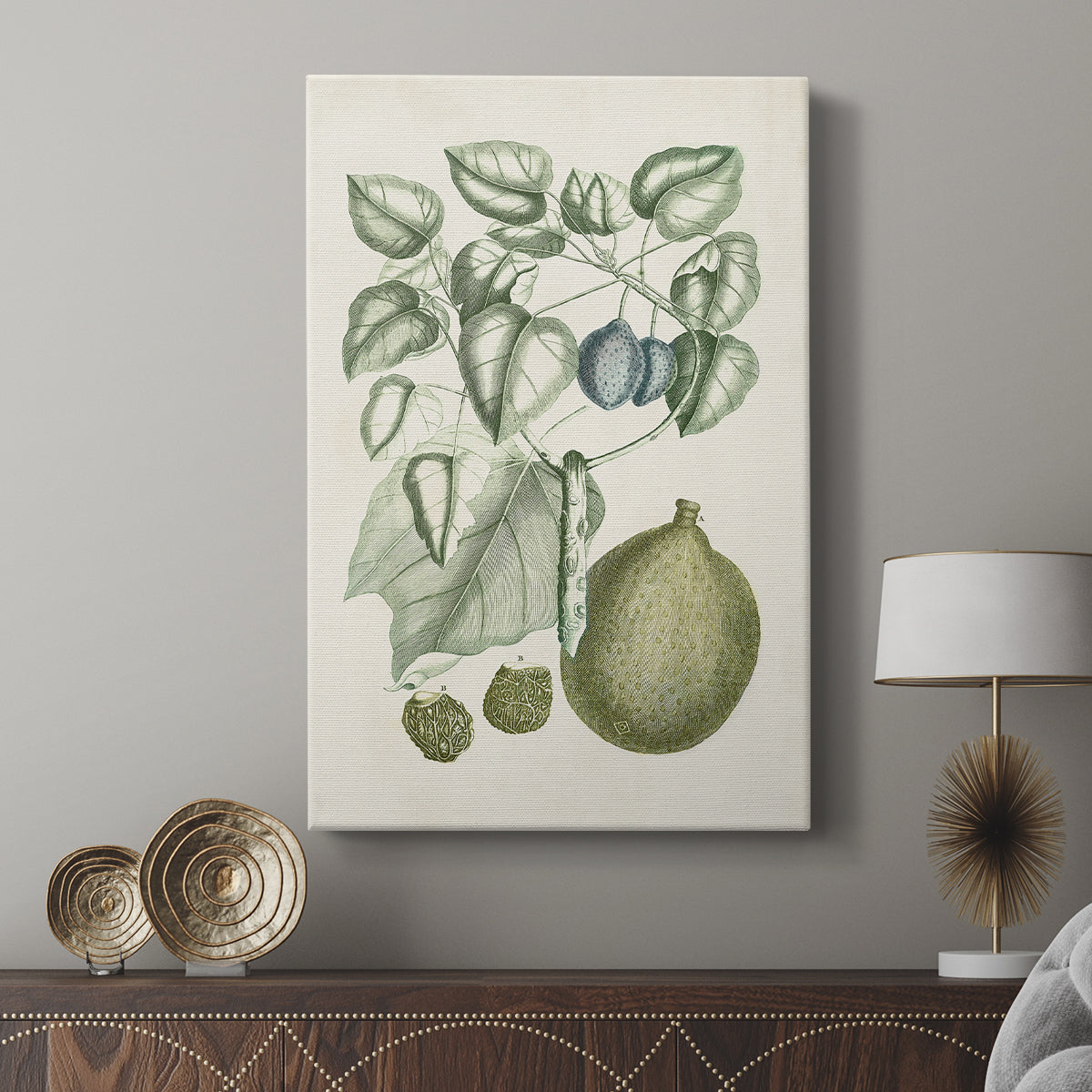Buchoz Tropicals VIII - Canvas Art Print