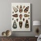 Spiral Shell Formation V - Canvas Art Print