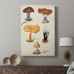 Mushroom Species VII - Canvas Art Print
