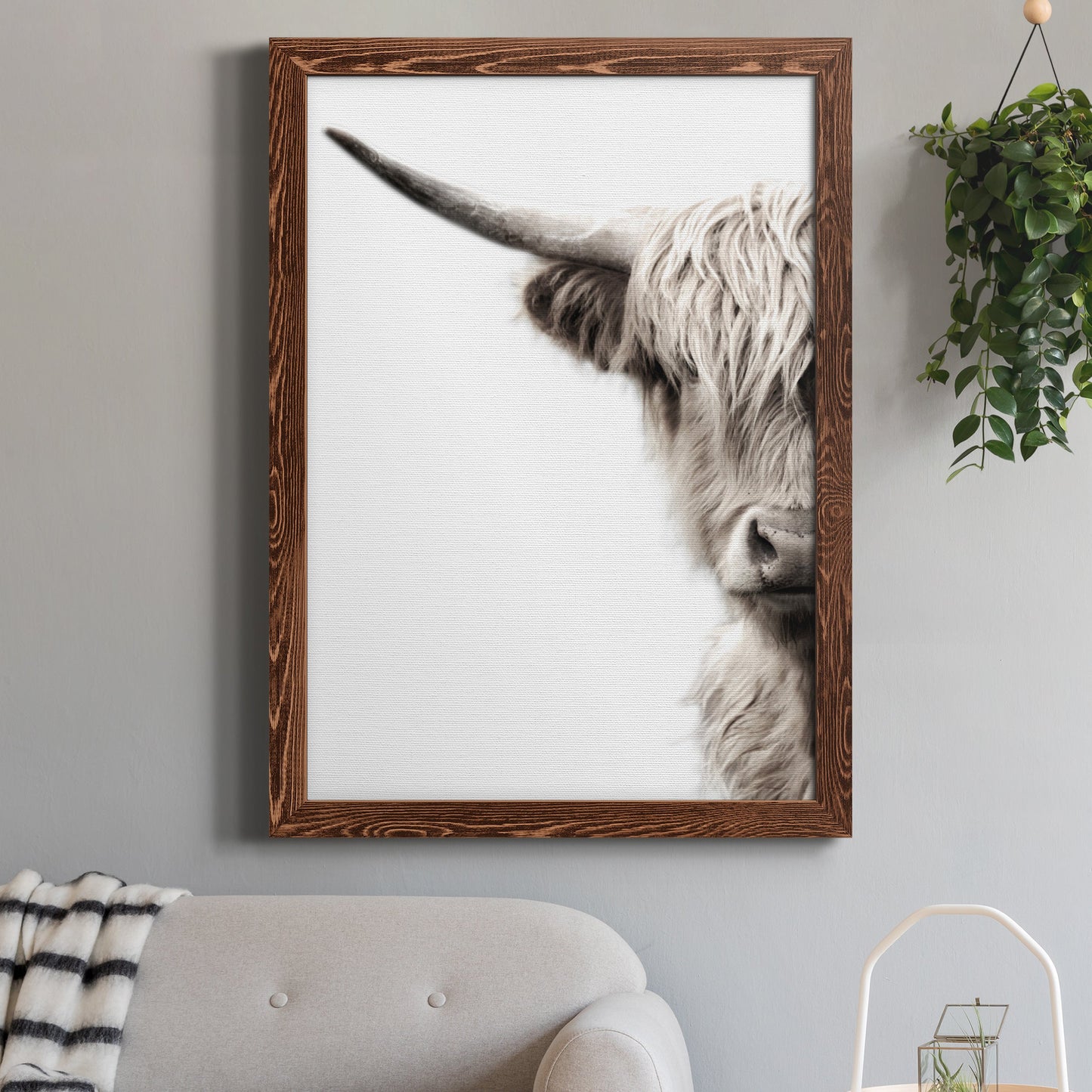 Highland Cattle - Premium Canvas Framed in Barnwood - Ready to Hang