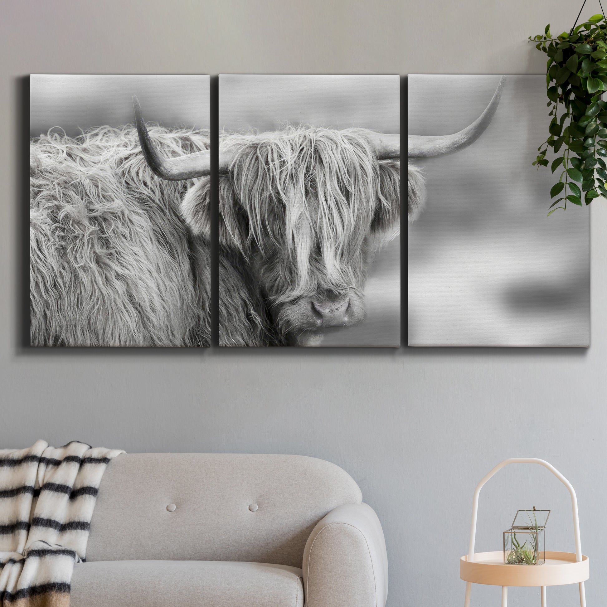 Three-panel canvas wall art featuring large highland cow portrait, displayed in a modern living room above a sofa.