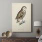 French Owls I - Canvas Art Print