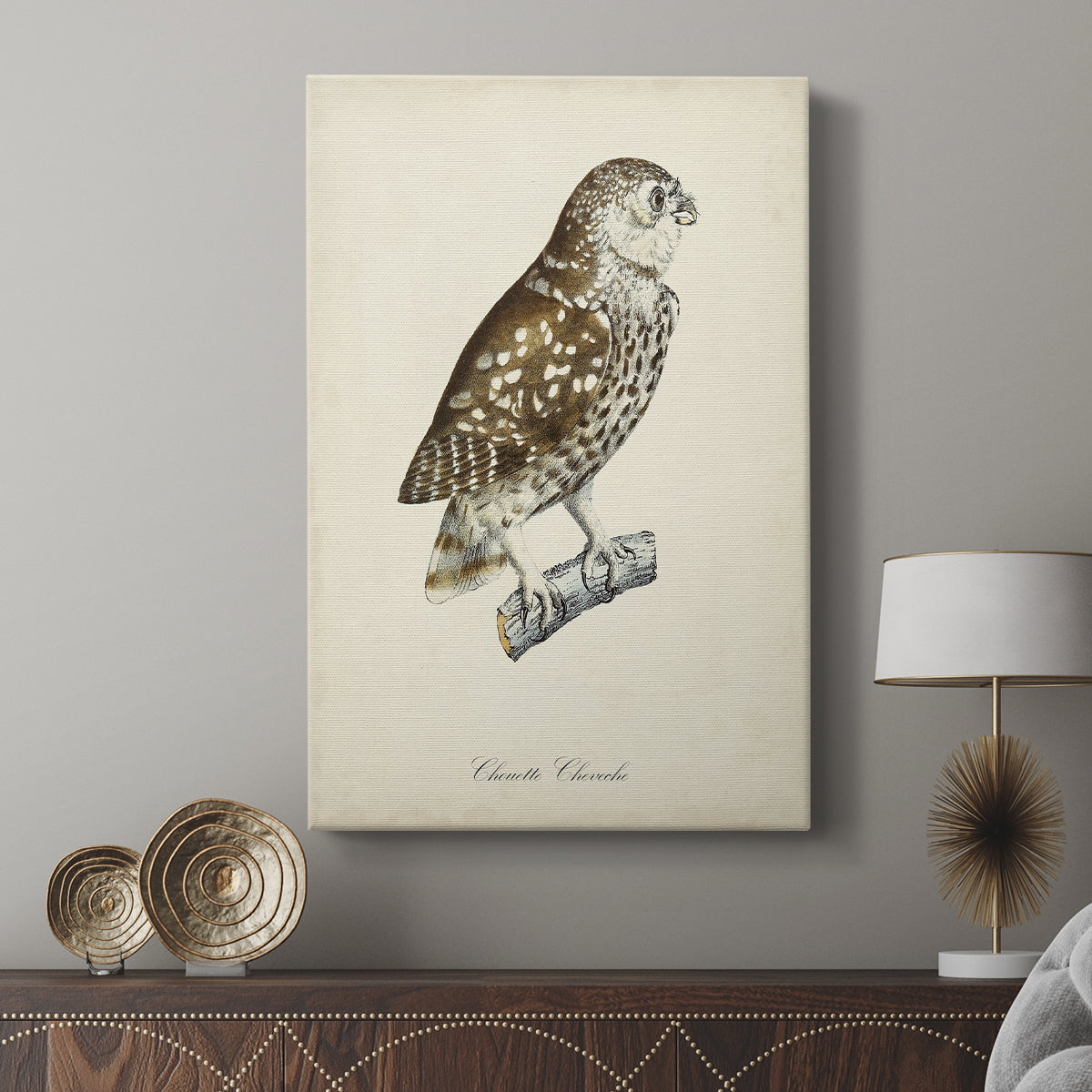 French Owls I - Canvas Art Print