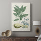 Buchoz Tropicals IV - Canvas Art Print