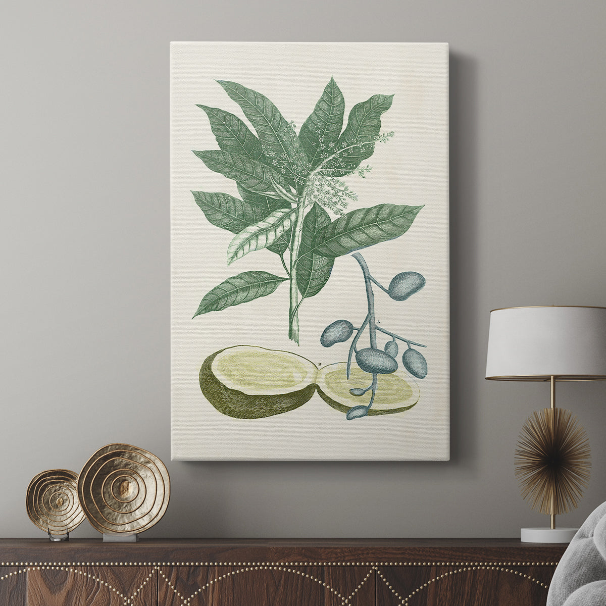 Buchoz Tropicals IV - Canvas Art Print