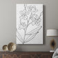 Botanical Sketch I - Canvas Art Print