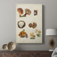 Mushroom Species I - Canvas Art Print