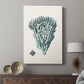 Antique Coastal Coral X - Canvas Art Print