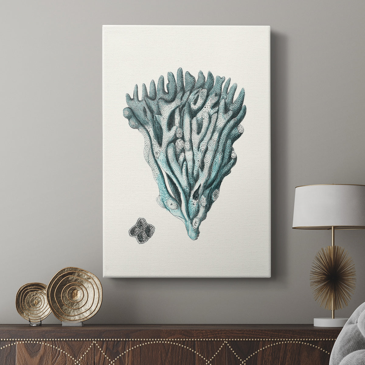 Antique Coastal Coral X - Canvas Art Print