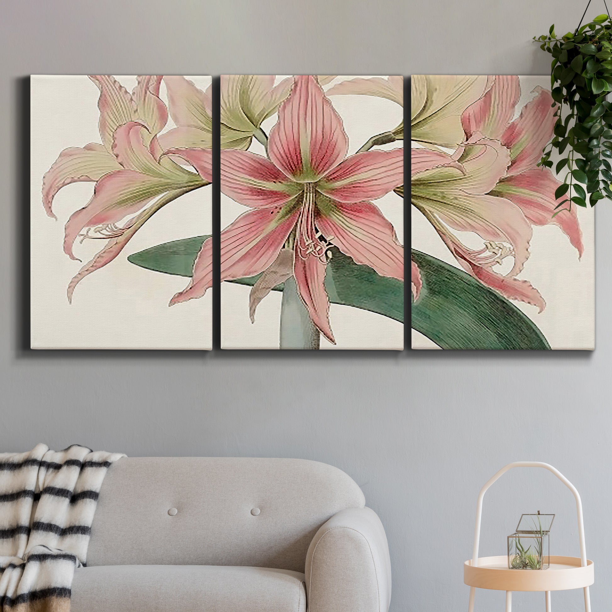 Three-panel canvas wall art featuring vintage styled amaryllis floral study, displayed in a modern living room above a sofa.