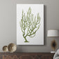 Coral Souvenirs III - Canvas Art Print