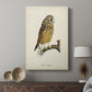 French Owls II - Canvas Art Print