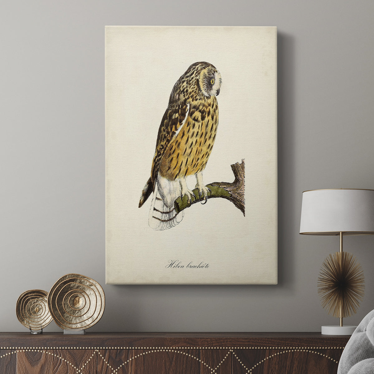 French Owls II - Canvas Art Print