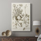 Sepia Botanical Journal IX - Canvas Art Print