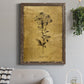 Gold Sketch Botanical II - Barnwood Framed Canvas Print