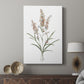 Dainty Botanical I - Canvas Art Print