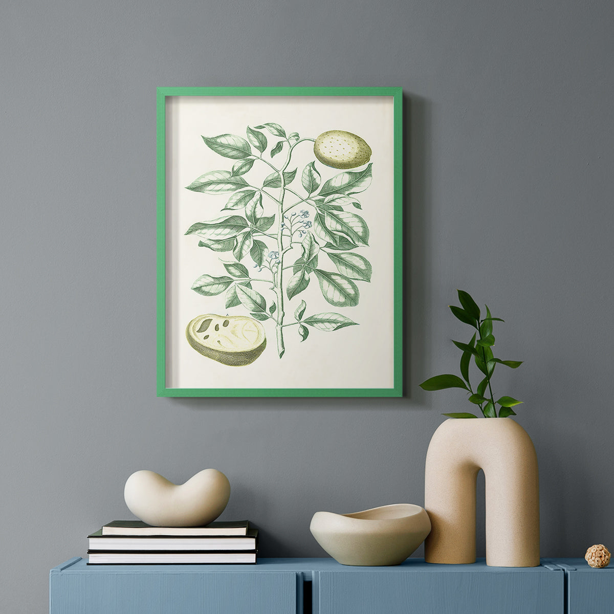 Buchoz Tropicals III - Restickable Framed Art Print