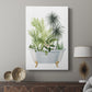 Plant Bath II - Canvas Art Print