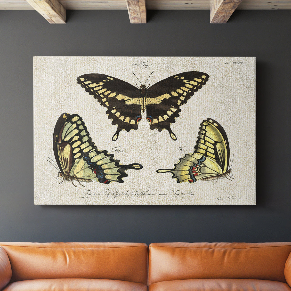 Crackled Butterflies I - Canvas Art Print