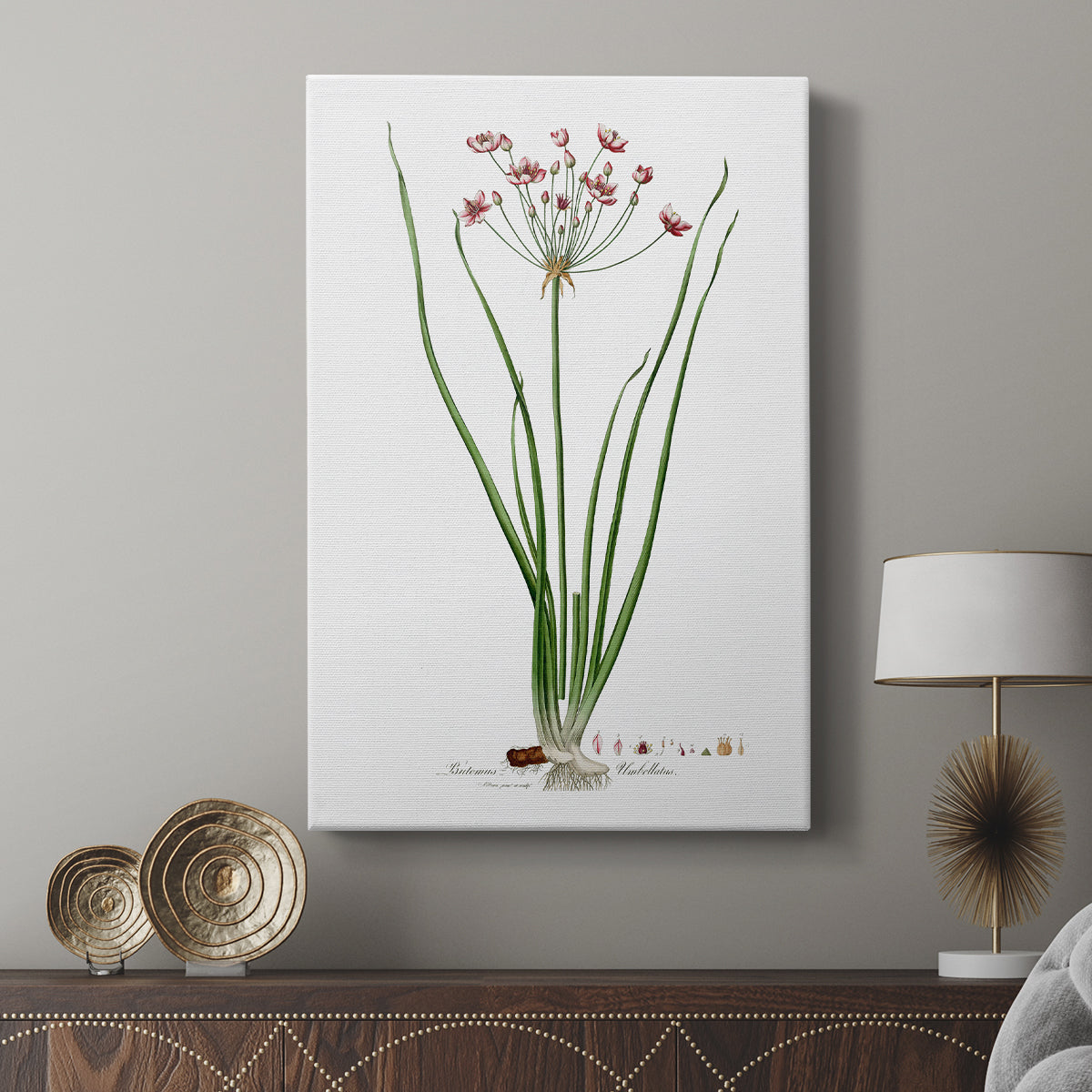 Rose Botanical II - Canvas Art Print