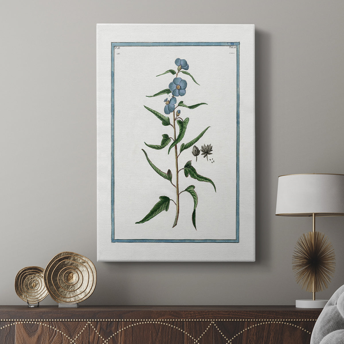 Shabby Chic Botanical I - Canvas Art Print