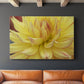 Blooms I - Canvas Art Print