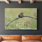 Resting Sparrow - Canvas Art Print
