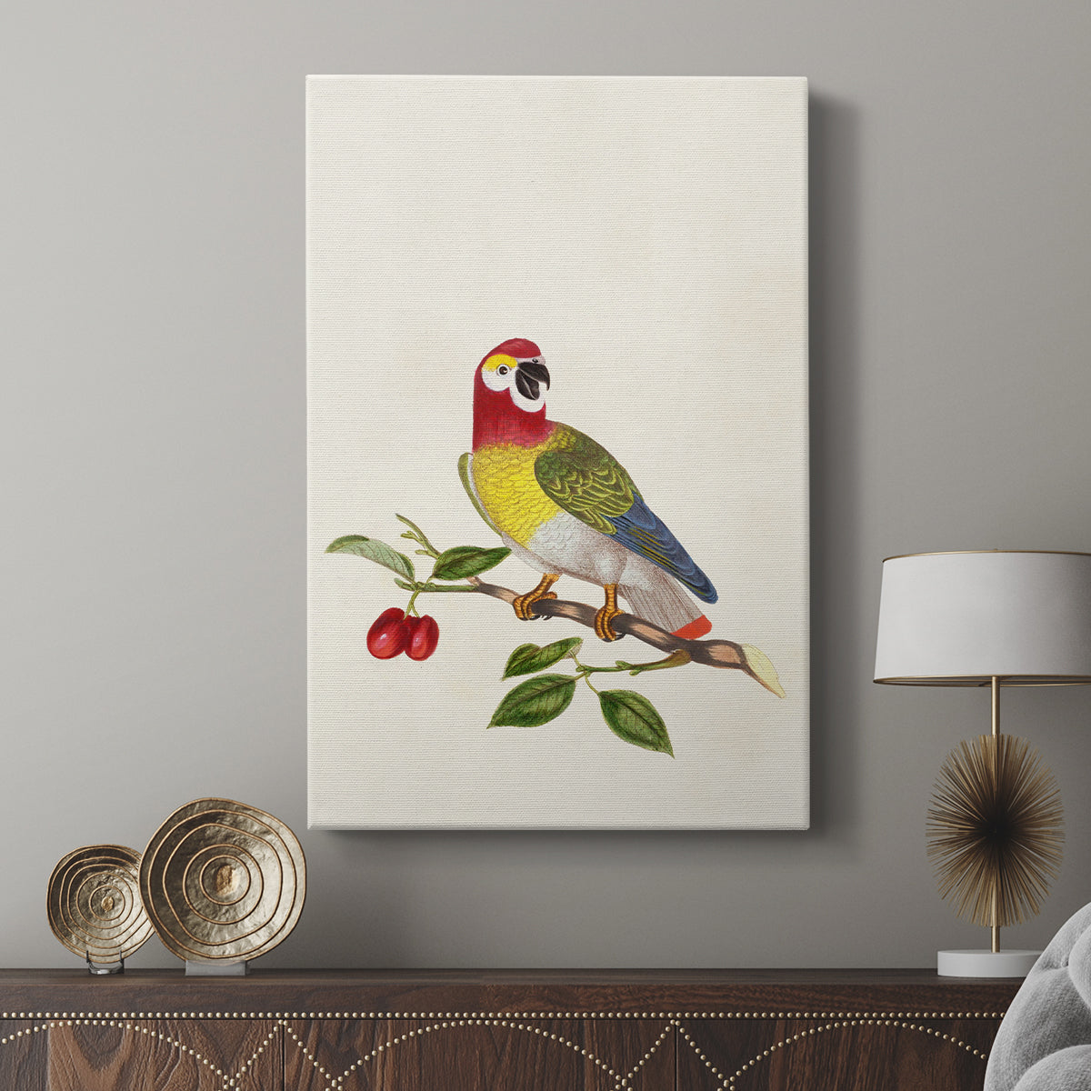 Guinea Parrot, 1796 - Canvas Art Print