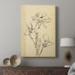 Magnolia Sketch II - Canvas Art Print