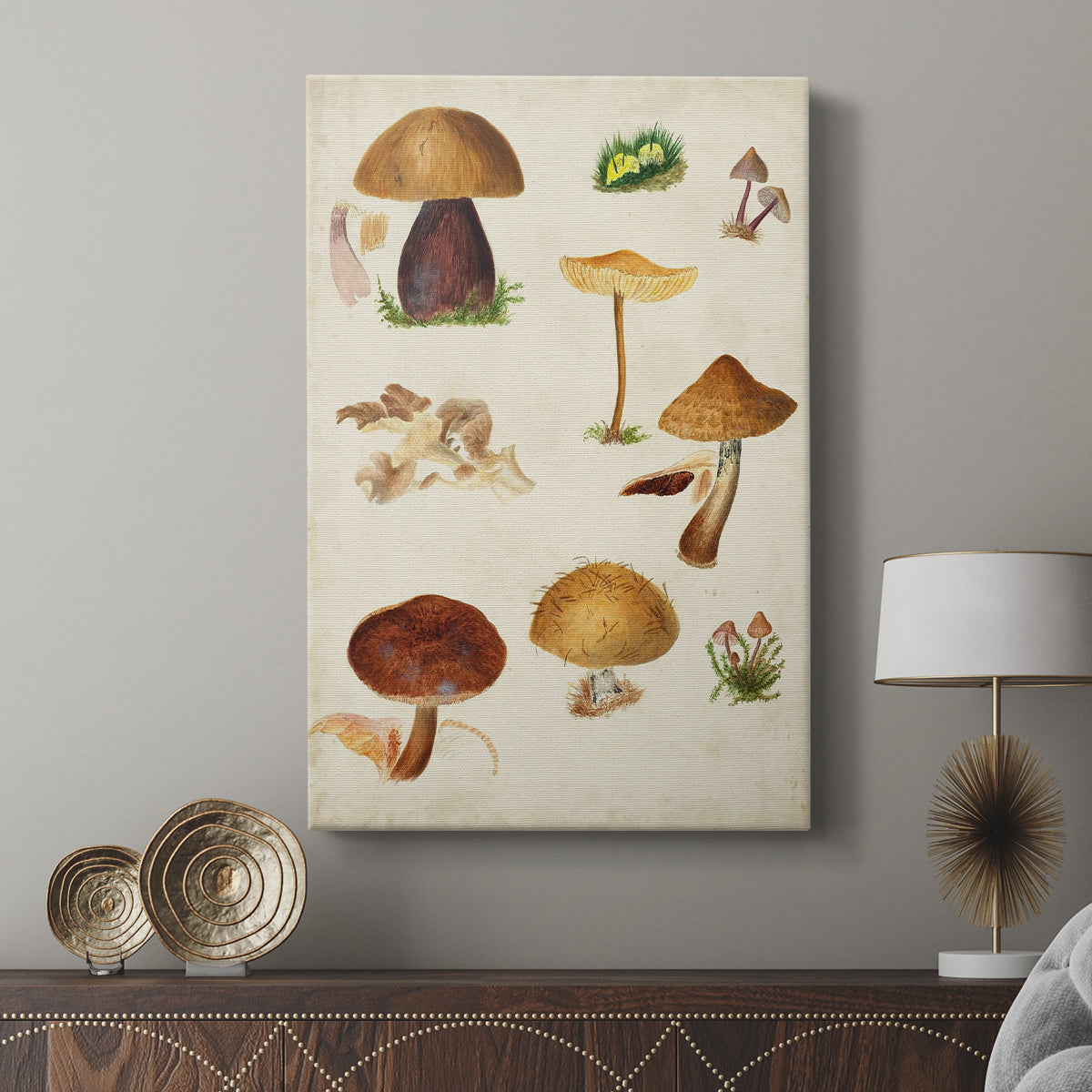 Mushroom Species II - Canvas Art Print