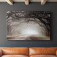 Timeless Plantation Drive - Canvas Art Print