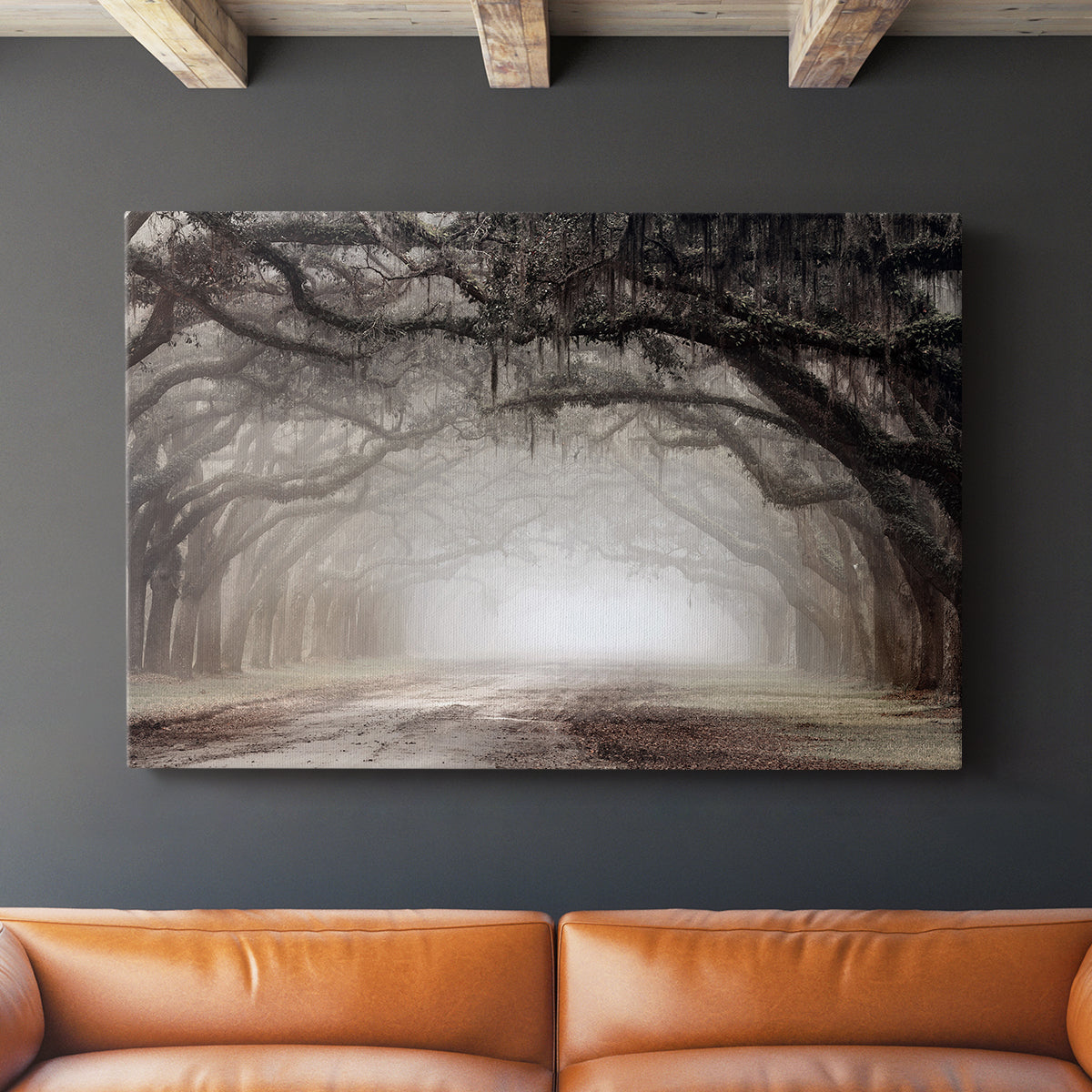 Timeless Plantation Drive - Canvas Art Print