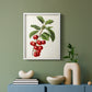 Antique Fruit II - Restickable Framed Art Print