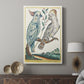 Red-Lipped and Yellow-Crested Cockatoos, 1771-1775 - Canvas Art Print