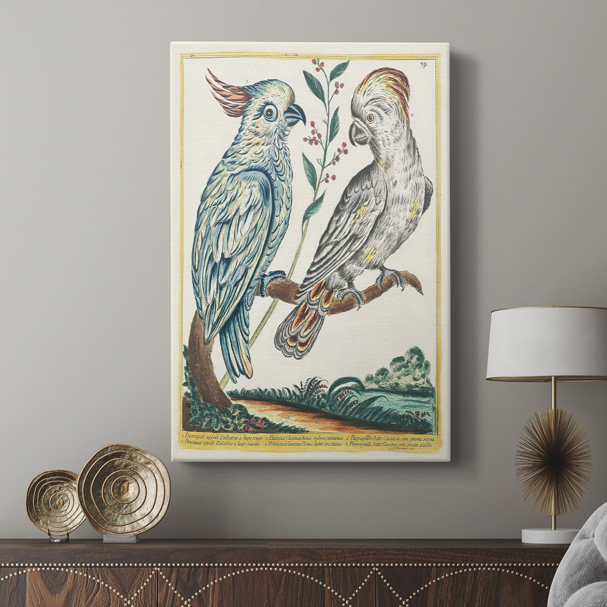 Red-Lipped and Yellow-Crested Cockatoos, 1771-1775 - Canvas Art Print