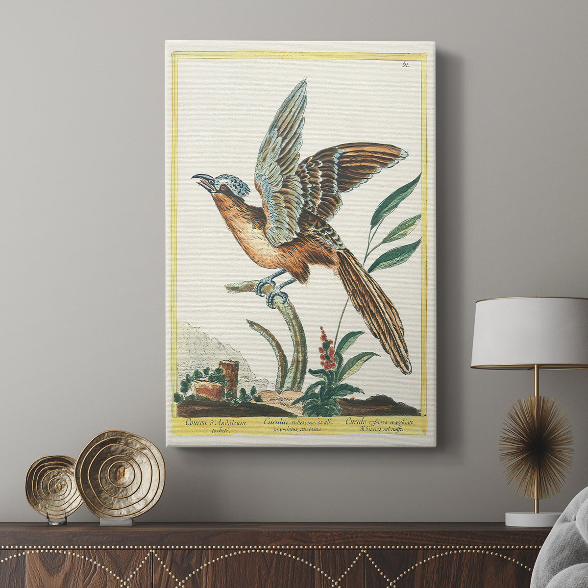 Spotted Andalusian Cuckoo, 1771-1775 - Canvas Art Print