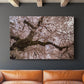 Spring's Arrival - Canvas Art Print