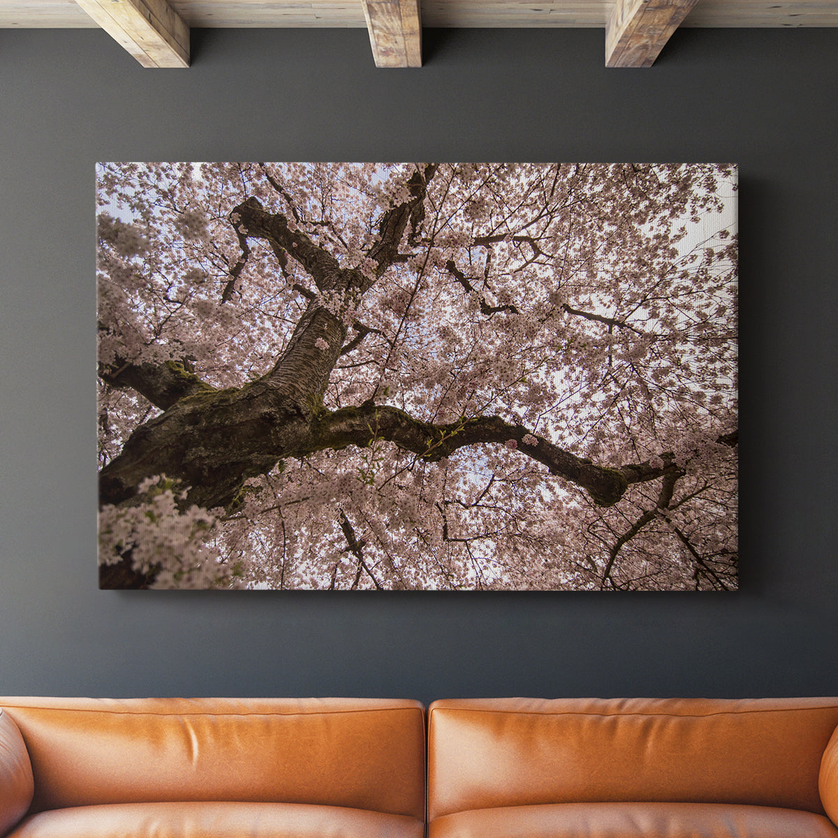 Spring's Arrival - Canvas Art Print