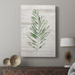 Tropic Frond II - Canvas Art Print