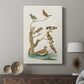 Antique Birds in Nature III - Canvas Art Print