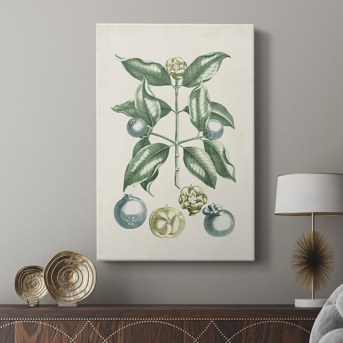 Buchoz Tropicals VII - Canvas Art Print