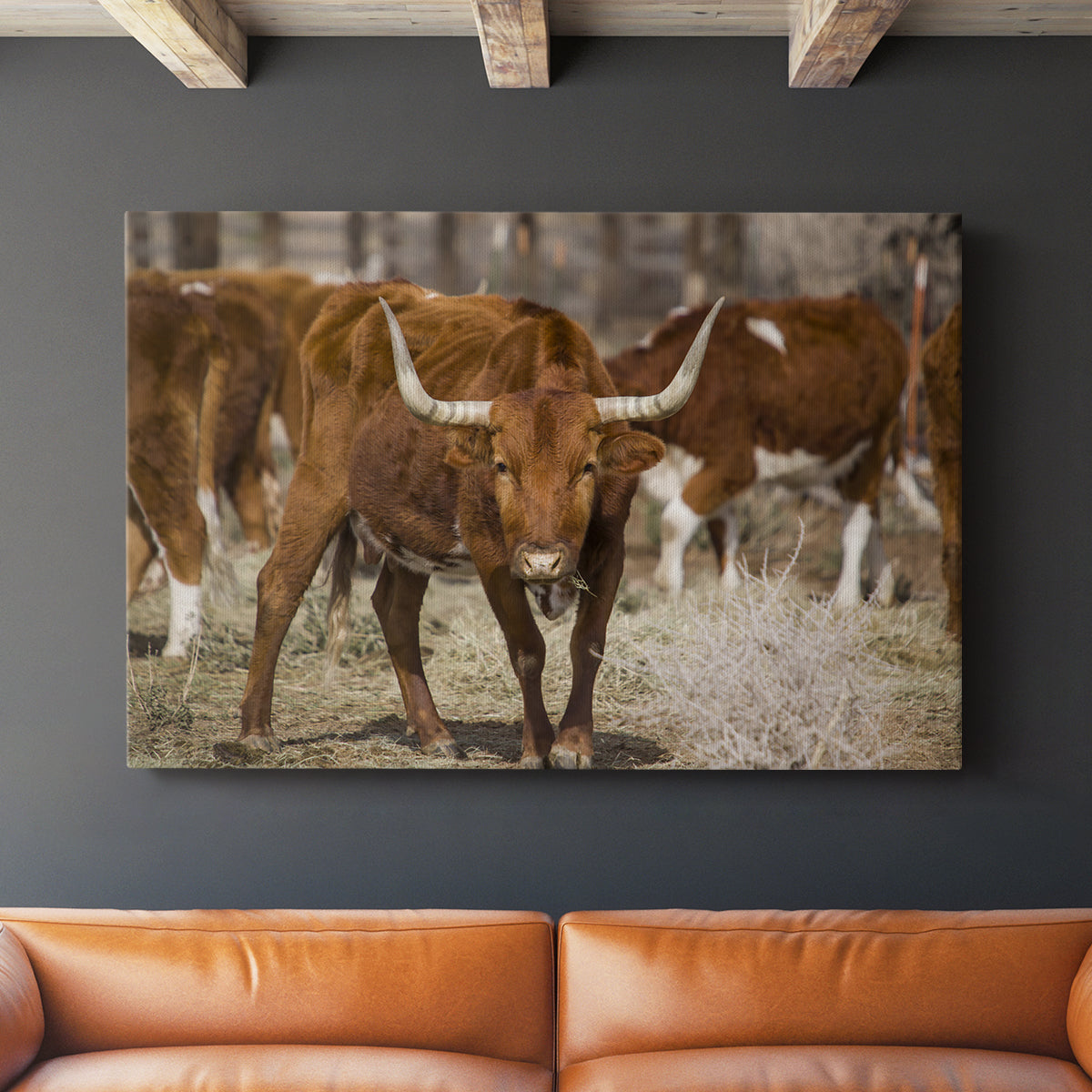 Longhorns - Canvas Art Print