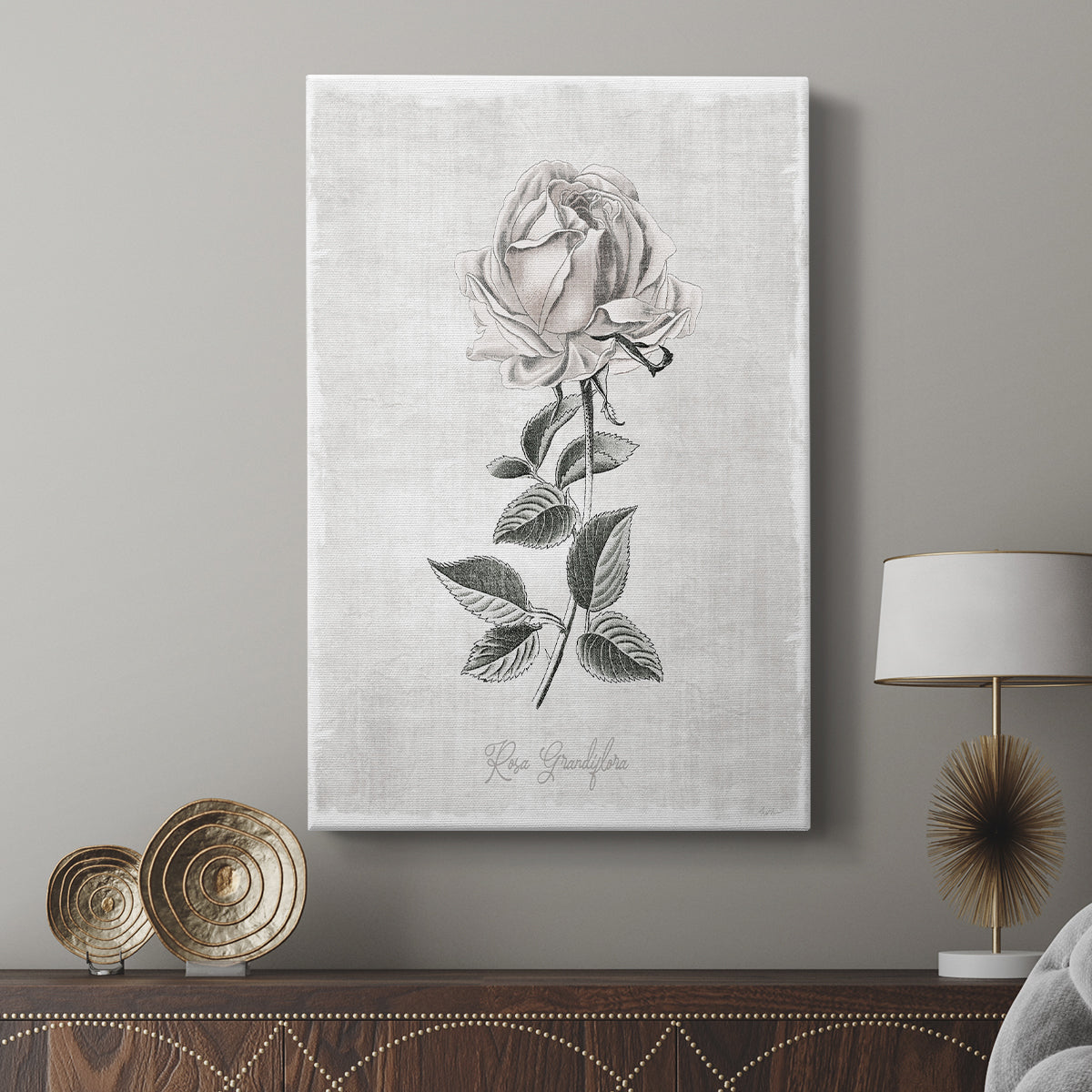 Vintage Botanical II - Canvas Art Print