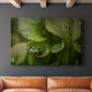 Arboreal Refuge - Canvas Art Print
