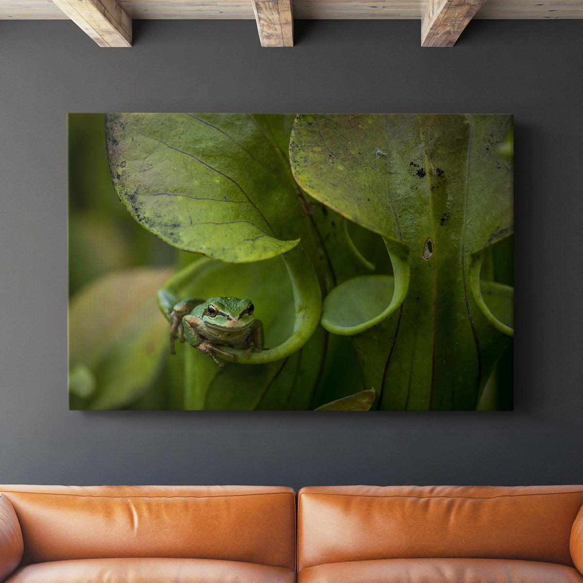 Arboreal Refuge - Canvas Art Print