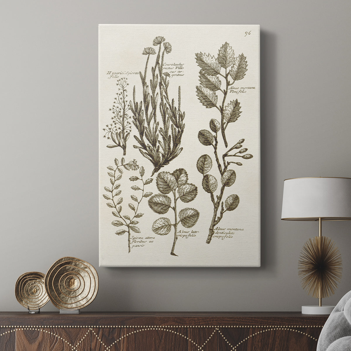 Sepia Botanical Journal VIII - Canvas Art Print