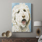 Labradoodle II - Canvas Art Print