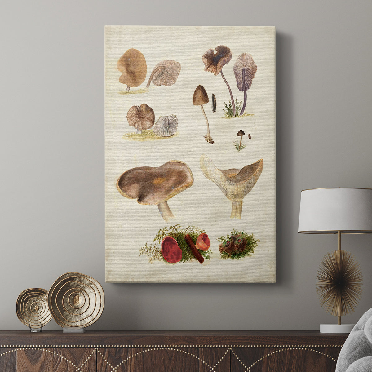Mushroom Species III - Canvas Art Print