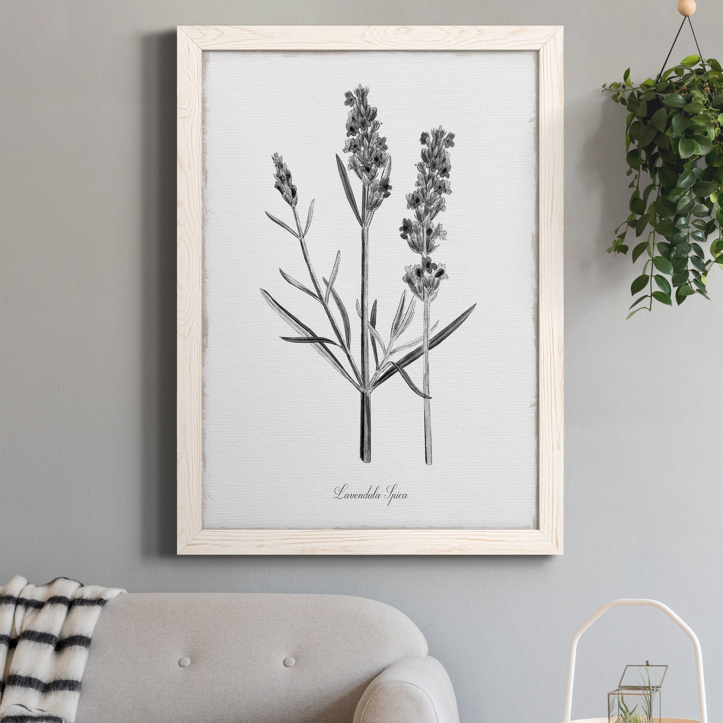 Simply Lavender - Premium Canvas Framed in Barnwood - Ready to Hang